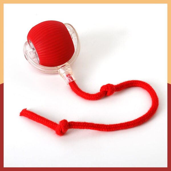 SKU_As pic_007 Interactive Cat Toy Ball