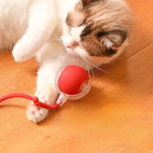 Interactive Cat Toy Ball