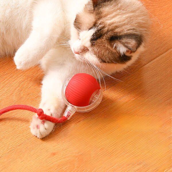 主图_003 Interactive Cat Toy Ball