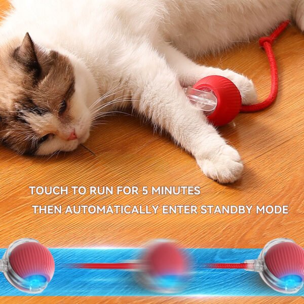主图_004 Interactive Cat Toy Ball